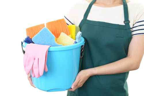 Domestic cleaner working in a Highbury period flat living room