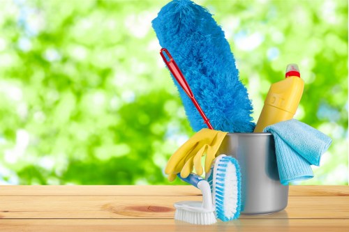 Carpet cleaning service for a Highbury home with period property features