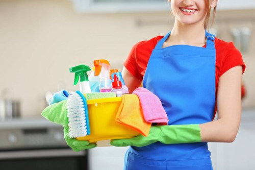 Formal assessment of an oven cleaning complaint