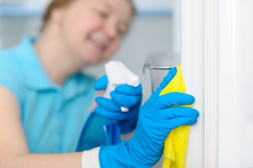 Professional oven cleaning in Highbury with careful deep-cleaning detail