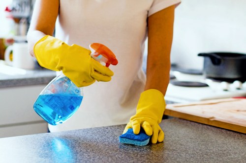 Professional oven cleaning for a Highbury kitchen in a local home