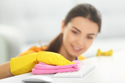 A cleaner preparing a Highbury home for a regular visit