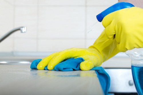 Marketing cookies and user preferences on a cleaning service website