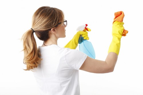 Professional hard floor cleaning in a Highbury home hallway