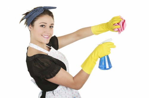Deep upholstery cleaning for a local Highbury flat