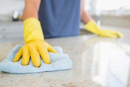 Cleaning specialist removing oven parts with care