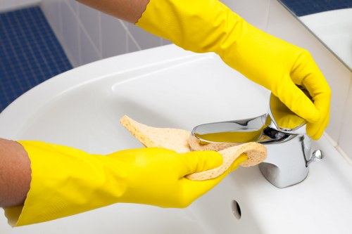 Prepared oven cleaning setup for a Highbury household or rental property
