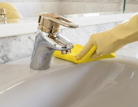 Cleaning products and tools arranged for an oven cleaning appointment